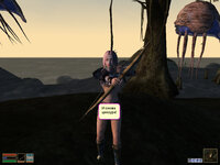 Morrowind 2021-01-12 23-04-54-53.jpg