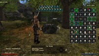 Gothic2 2021-03-31 13-27-31-973.jpg