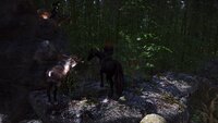 SkyrimSE 2021-06-16 07-39-56-99.jpg