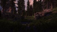 SkyrimSE 2021-06-16 07-18-34-88.jpg