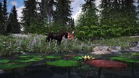 SkyrimSE 2021-06-16 09-23-43-11.jpg