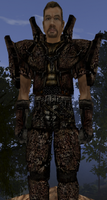 Armor_2001.png