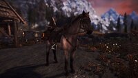 SkyrimSE 2021-09-03 03-22-21-59.jpg