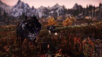 SkyrimSE 2021-09-09 02-32-25-62.jpg