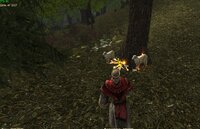 Screenshot_34.jpg