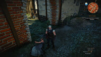 witcher3 2015-06-15 22-53-18-56.jpg