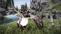 [rpgrussia.com]_SkyrimSE 2022-02-23 08-14-07-59.jpg