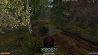 NW_Nature_Path_To_DarkW_Trans.jpg