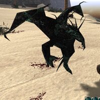 hub_blood.jpg