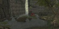 lightheal_swamp.jpg