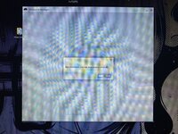 IMG_0579.jpeg