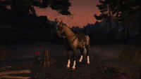 The Elder Scrolls V  Skyrim Special Edition Screenshot 2023.05.19 - 01.12.53.90.jpg