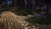 The Elder Scrolls V  Skyrim Special Edition Screenshot 2024.02.09 - 04.46.19.73.jpg