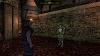 Gothic 2 Screenshot 2025.04.16 - 19.26.44.61.jpg