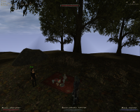 Пикник с Лоа.png