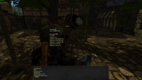Gothic2 2025-05-26 05-34-57.png
