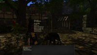 Gothic2 2025-05-26 05-35-28.png