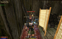 Gothic2 2025-06-04 15-27-00-329.jpg