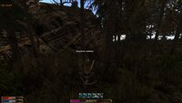 1749121760205.jpeg