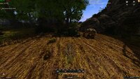 Gothic2 2025-06-22 17-55-42_139.jpg