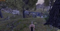 Screenshot_238.jpg