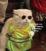1751903446410.png