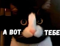 Screenshot_19.jpg