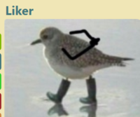 Screenshot_26.png