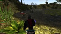 Boars got stuck in a water.jpg