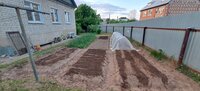 20250603_205322.jpg