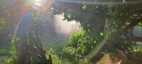20250628_191345.jpg