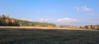 20251009_155019.jpg