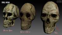 GTR_SkeHead_Render_01.jpg