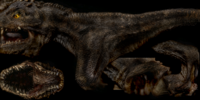 SNA_BODY_V0.png