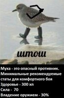 21128.jpg
