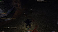 gothic2.exe-02-04-26_16-49-178941190.jpg
