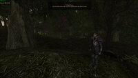 gothic2.exe-06-04-26_22-46-890507758.jpg