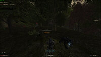 gothic2.exe-06-04-26_22-46-906781156.jpg