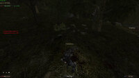 vlcsnap-2026-04-13-13h13m00s195.jpg