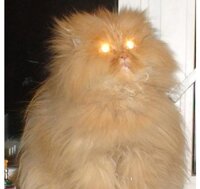 уфффф.jpg