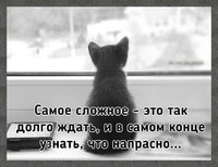 3007695827.jpg