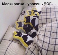 1f34e0abed28a02b6cac0a200a6e275e462afa2c2f5797f7e7ee8d54518f967a_1.jpg
