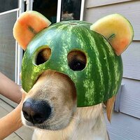 2 (1).jpg