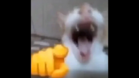 1778057432630.png