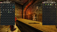 Gothic 2 Screenshot 2026.05.12 - 16.49.36.86.png