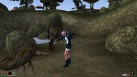 Morrowind 2026-05-17 11-23-32-40.jpg