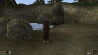 Morrowind 2026-05-17 11-27-01-48.jpg