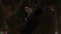 Morrowind 2026-05-17 20-39-52-81.jpg