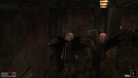 Morrowind 2026-05-17 20-40-32-93.jpg