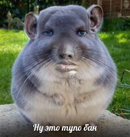 EAca-0T9EZM.jpg